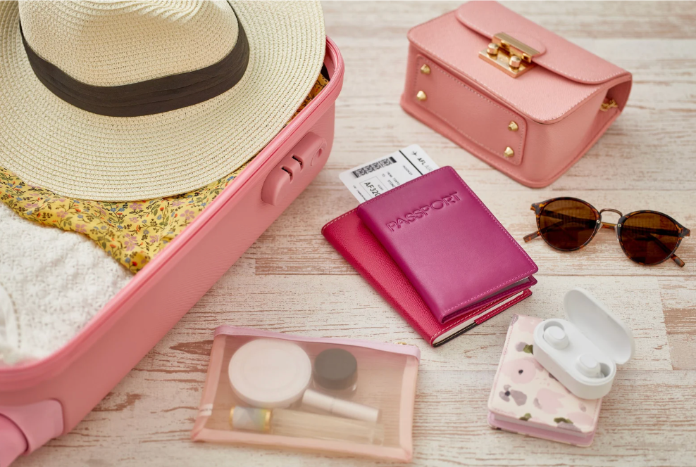 valise