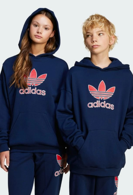 Adidas Original Sweat-shirt à capuche